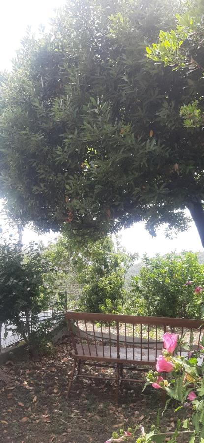 Ca Du Stea Villa Lavagna Dış mekan fotoğraf