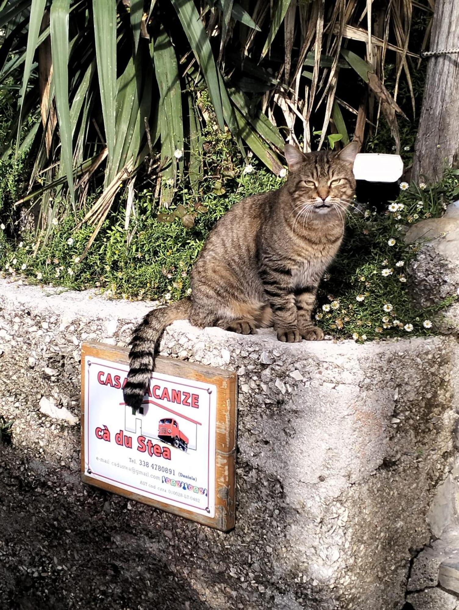 Ca Du Stea Villa Lavagna Dış mekan fotoğraf