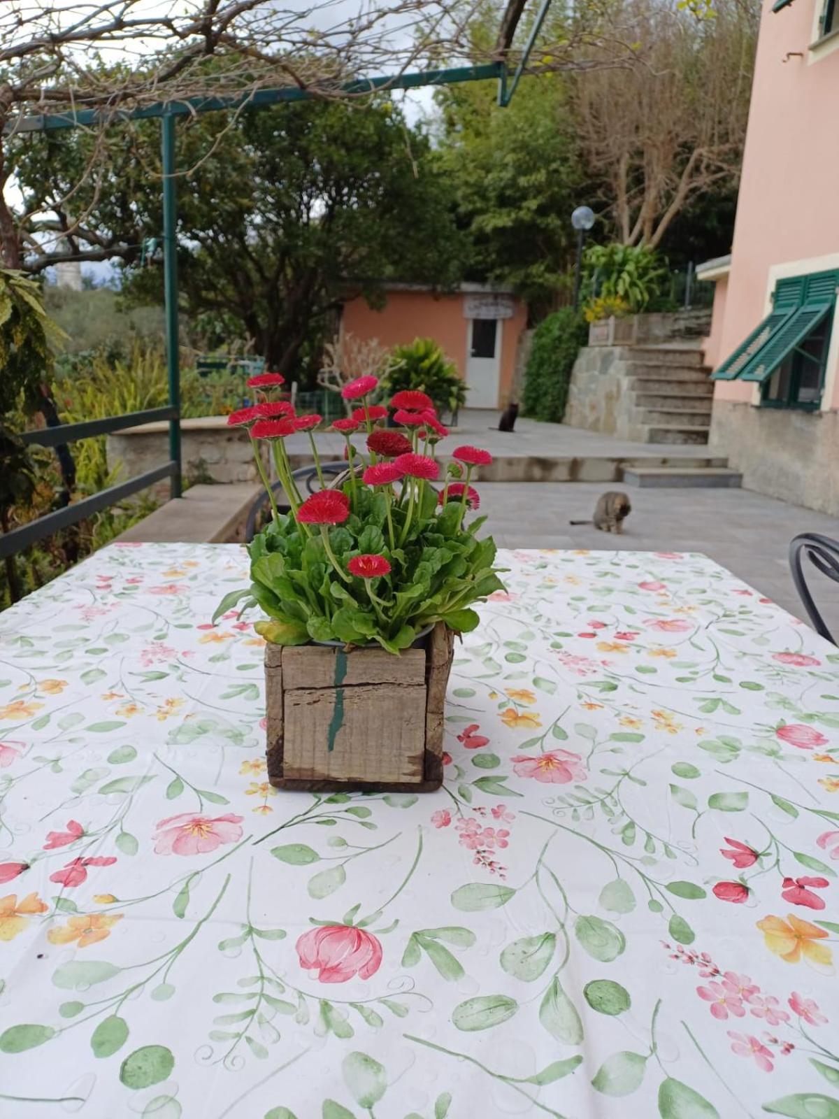 Ca Du Stea Villa Lavagna Dış mekan fotoğraf